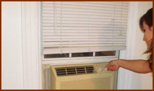 dallas carpet cleaning