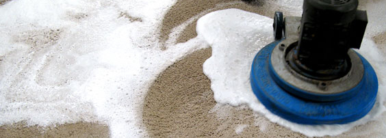 carpet cleaning dallas texas