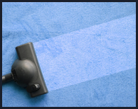 Cedar Hill carpet cleaning